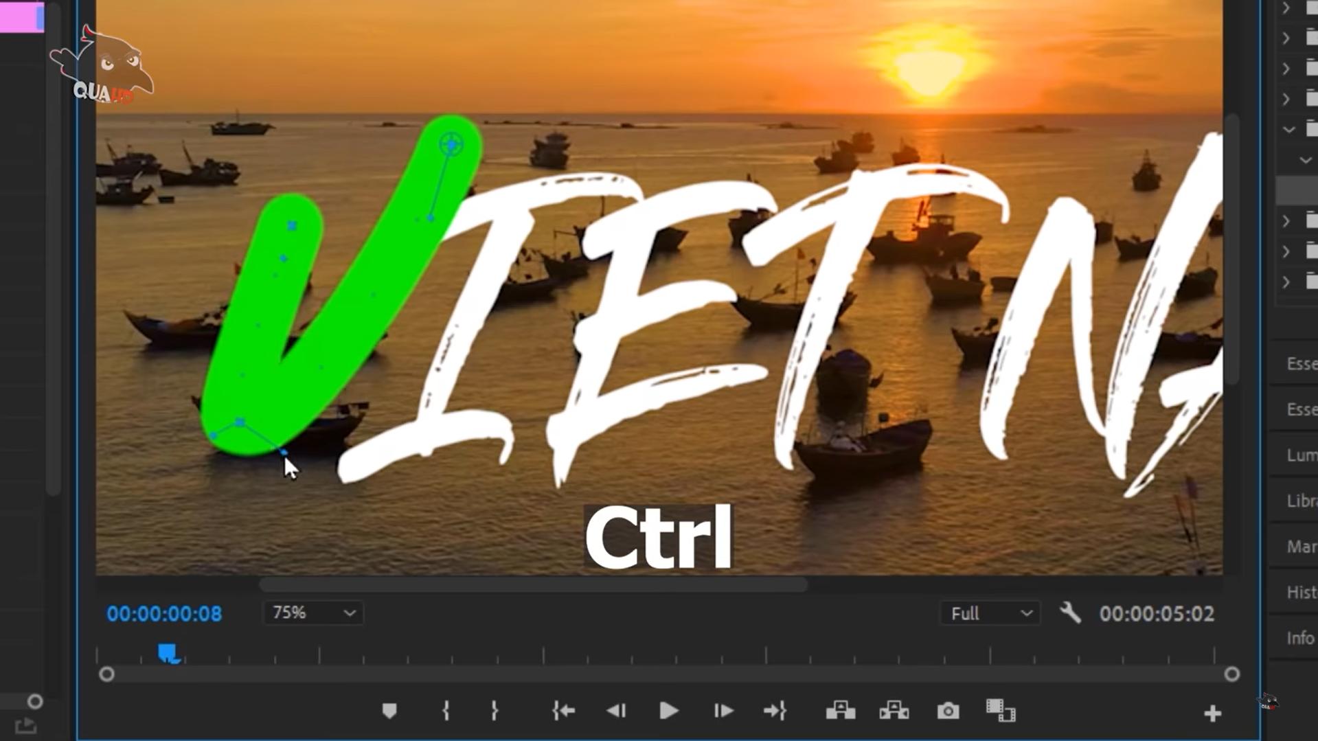 các hiệu ứng trong adobe premiere pro