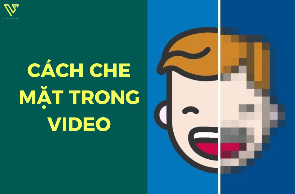 cách che mặt trong video