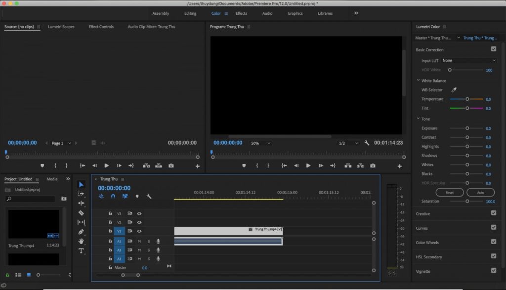chỉnh màu video trong Adobe Premiere
